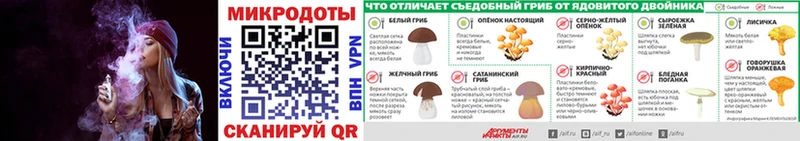 купить закладку  Советская Гавань  ОМГ ОМГ ONION  Псилоцибиновые грибы мицелий 